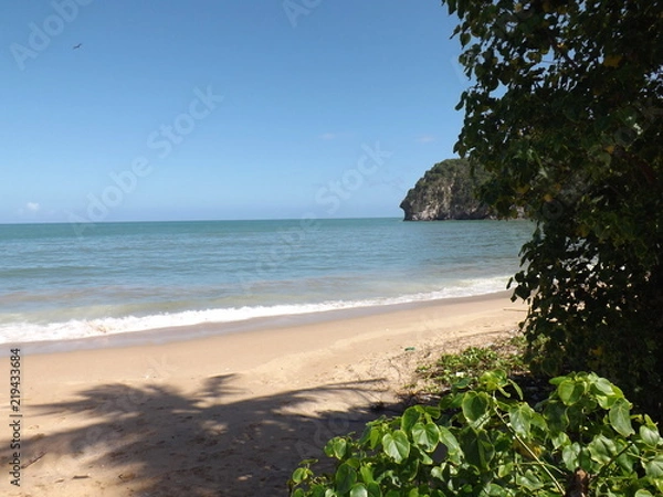 Obraz Paradise beach