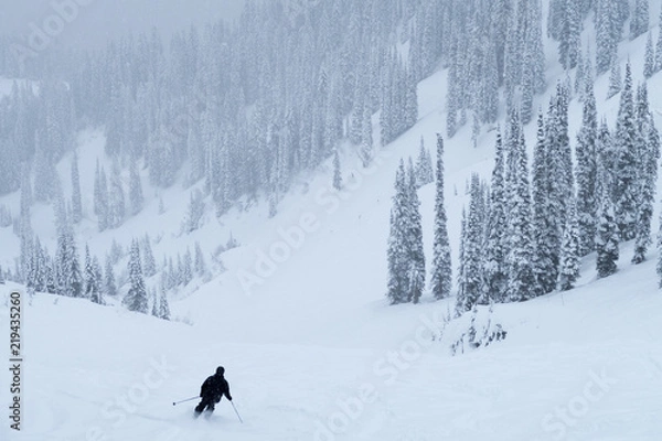 Obraz going downhill in fernie
