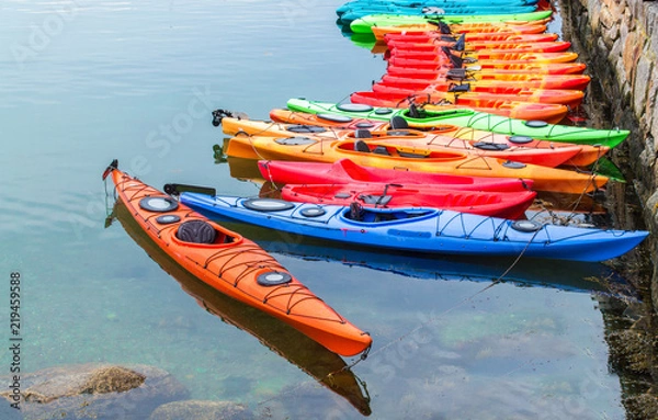 Obraz a row of colorful fiberglass kayaks for rent in a small Massachusetts harbor
