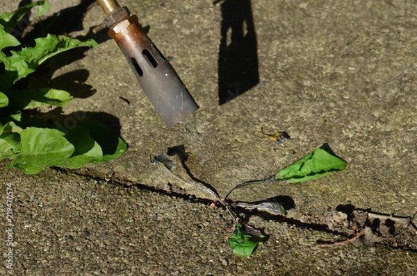 Fototapeta Weedburner in use, firefighters fear it because it too often burns more than just the weed.