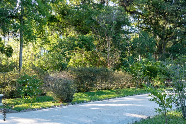 Fototapeta Botanic Garden