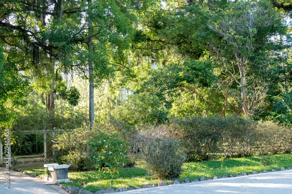 Fototapeta Botanic Garden