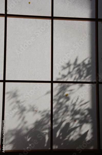 Obraz 朝日を浴びて、障子に浮かび上がる草木、透過光