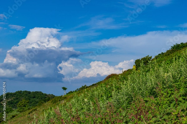 Fototapeta 伊吹山の中腹の景色（滋賀県、日本）