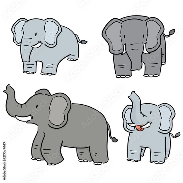 Fototapeta vector set of elephant