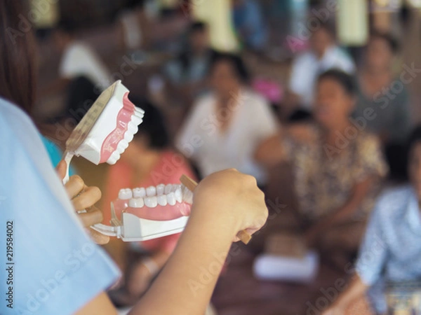 Obraz The dentist’s teaching brush the teeth with a model teeth.