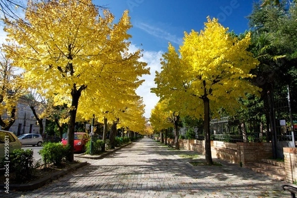 Obraz Autumn Way