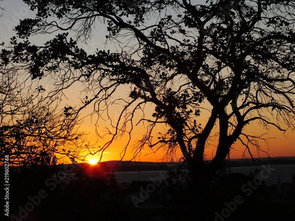 Obraz Final de tarde 11
