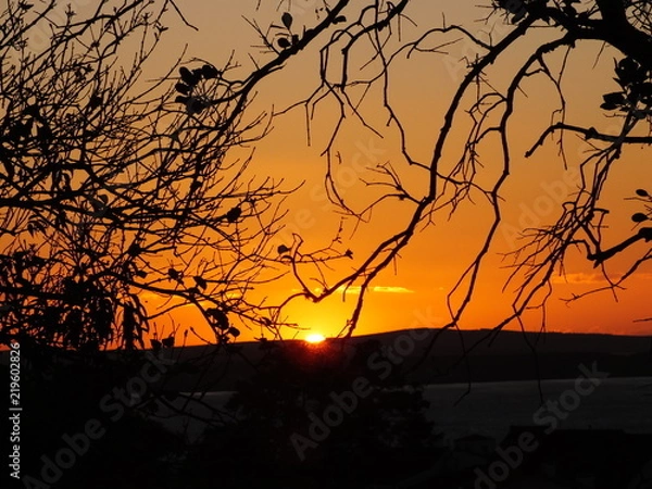 Obraz Final de tarde 8