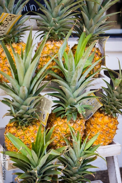Obraz Lahaina Pineapples