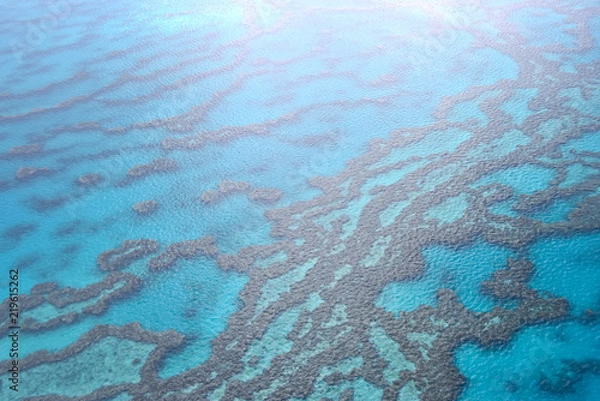 Obraz Great Barrier Reef