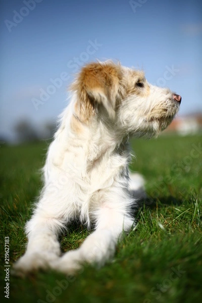 Fototapeta aufpassen