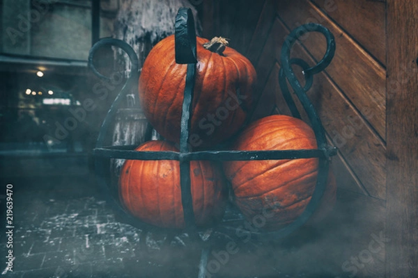 Obraz Pile of pumpkins