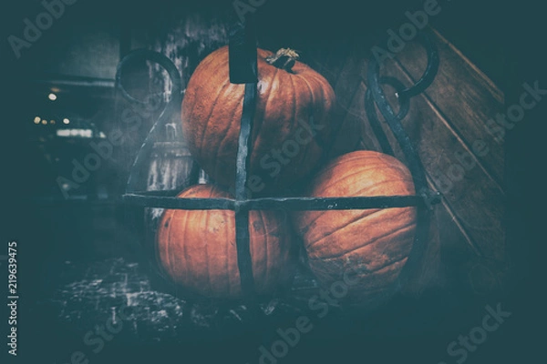 Obraz Dusty pumpkins