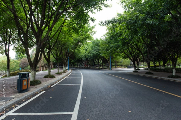 Fototapeta Asphalt roads and forests on both sides of the university campus
