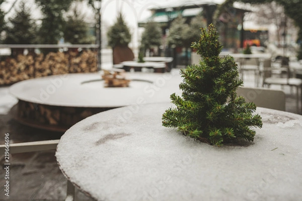 Fototapeta Winter cold tree snow
