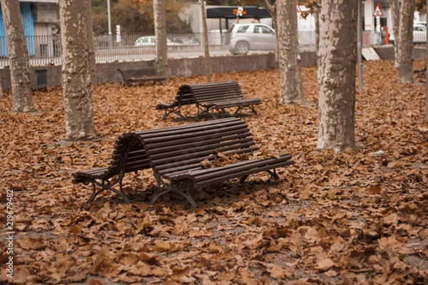 Obraz Ragull ride autumn