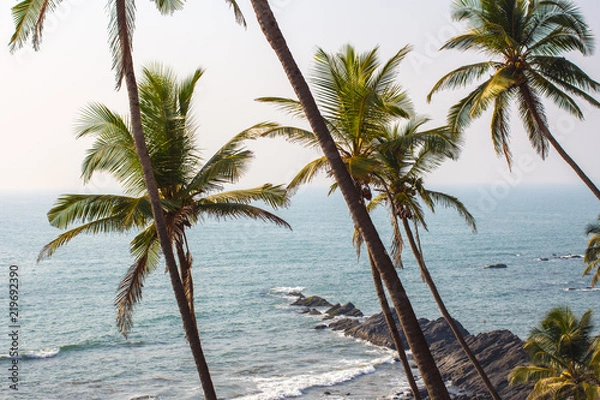 Obraz Palms, Rocks and Ocean