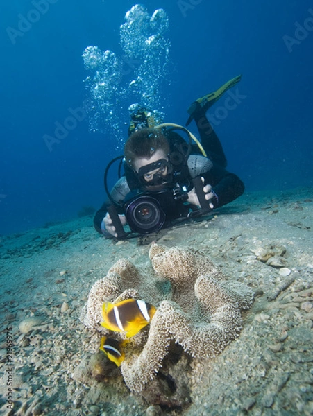 Obraz Underwater videographer/camerman