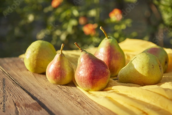 Obraz Pears