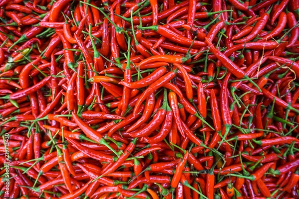 Fototapeta Hot Red chilli pattern