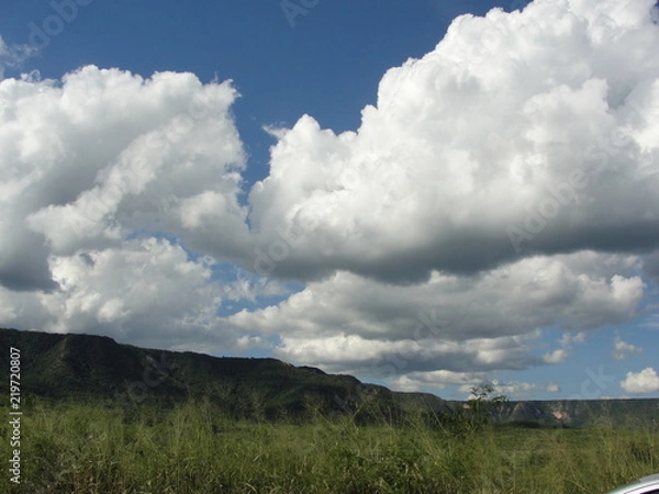 Obraz Paisagens do Sertão