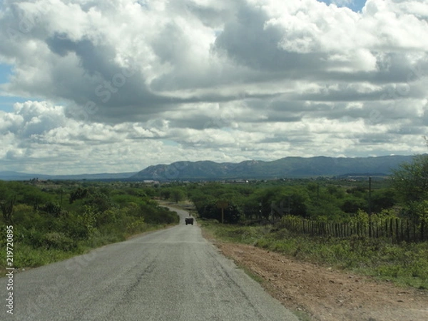 Obraz Paisagens do Sertão
