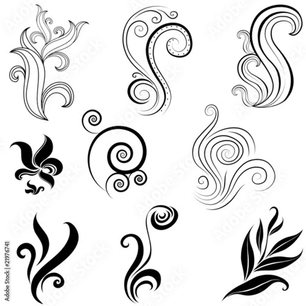Obraz Set of leafs and plants design elements