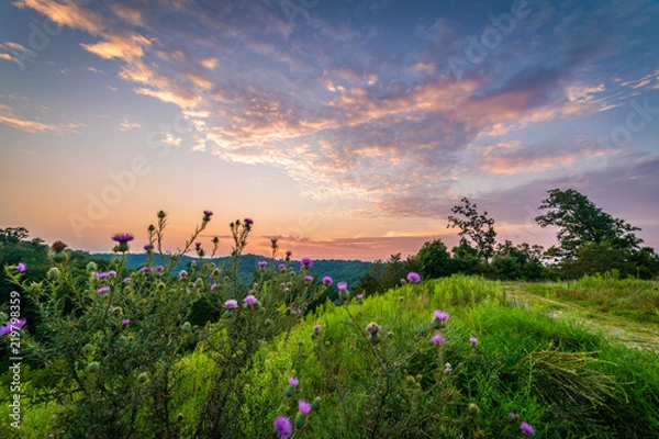 Obraz Sunset in the Mountains