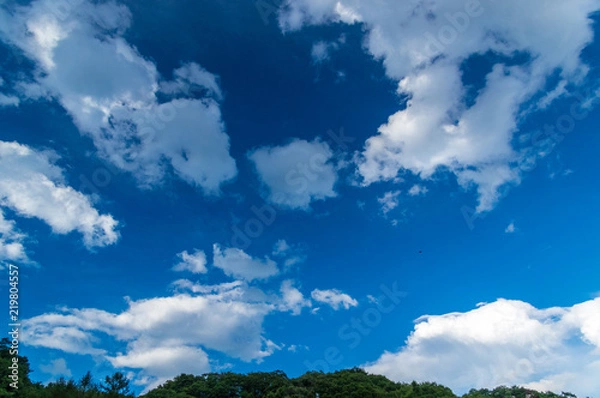 Fototapeta 湯川広戸橋