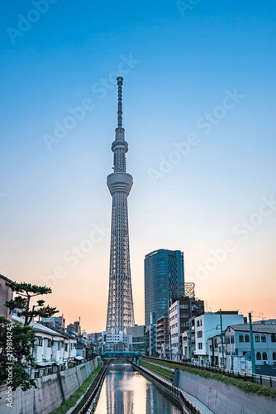 Obraz Tokio, Japonia - 22 czerwca 2018: Tokyo Sky Tree, zachód słońca i błękitne niebo. Tokyo Sky Tree to jeden ze słynnych punktów orientacyjnych w Tokio. Po zbudowaniu jest to najwyższa konstrukcja na świecie.
