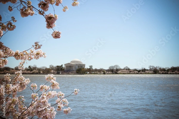 Obraz Jefferson Memorial Cherry Blossoms