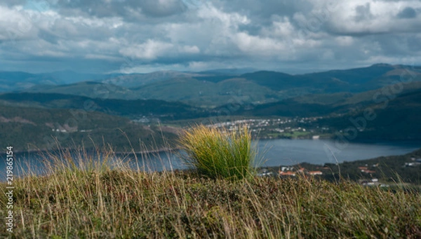 Obraz Norwegian nature