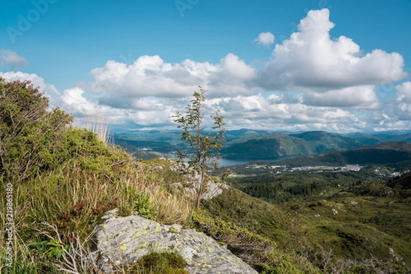 Obraz Norwegian nature