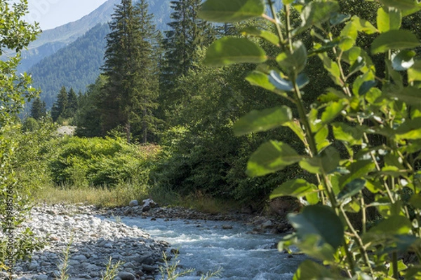 Obraz plant and stream (arve chamonix) 02