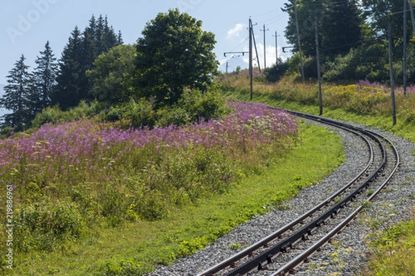 Obraz Railway in the mountain