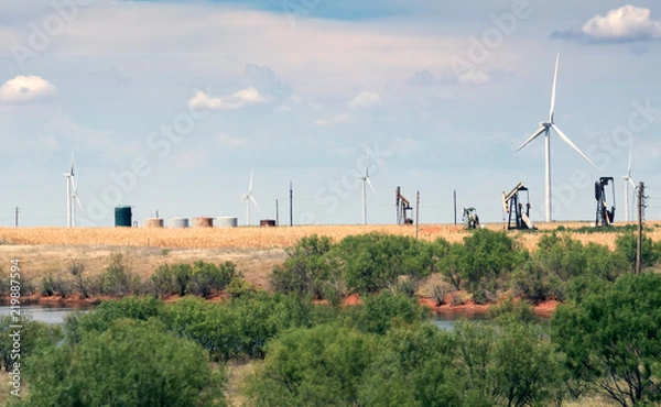 Fototapeta Typowy krajobraz Teksasu: niekończące się pola, generatory wiatrowe, pompy oleju, rzadkie zielone krzaki