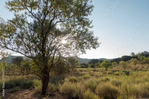 Fototapeta The road to Santiago and the via augusta in Castellon