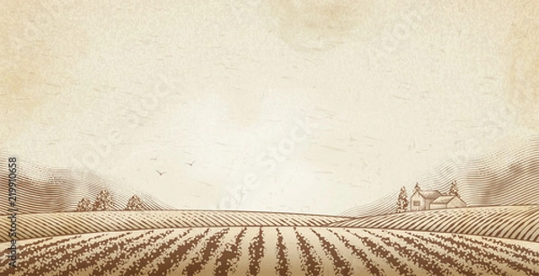 Obraz Engraved countryside scenery