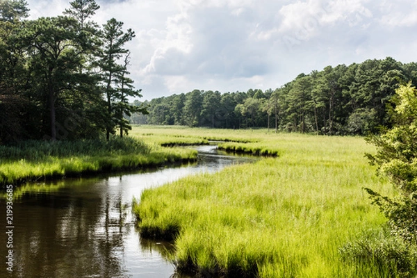 Obraz winding creek through salt marsh