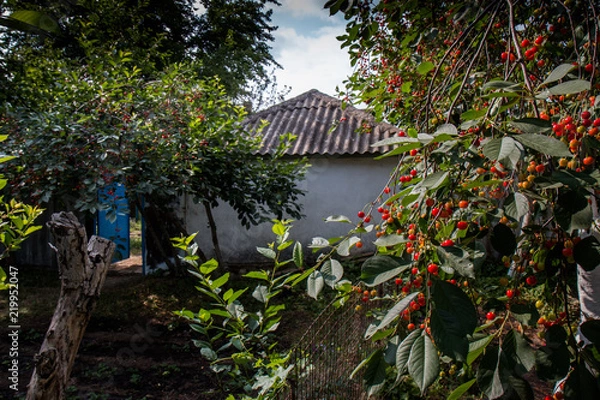 Obraz деревня