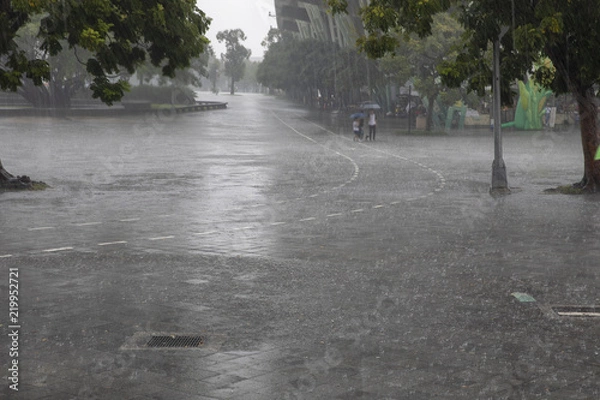 Fototapeta 激しい雨