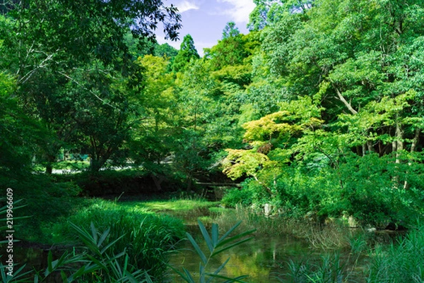 Obraz 比叡山(Hiei Mountain)