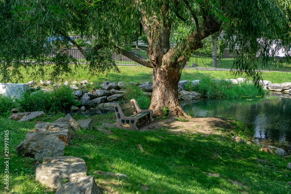 Fototapeta Bench under tree next to pond at park