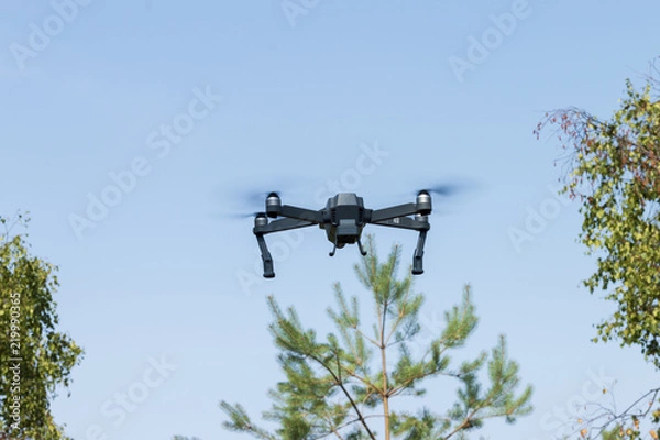 Obraz Drone flying over a pine tree
