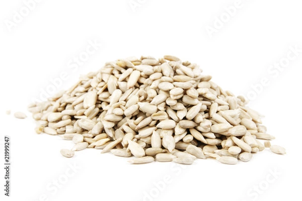 Obraz Sunflower Seeds