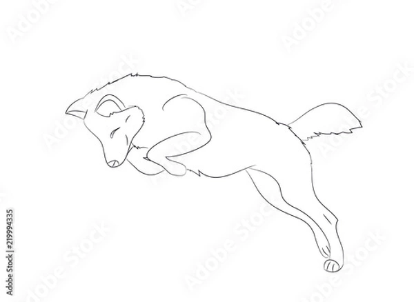 Obraz wolf runs, image lines, vector