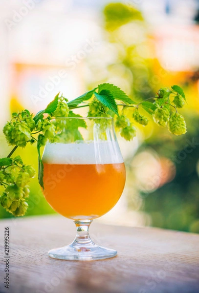 Fototapeta Delicious homebrewed beer, diffferent styles and rich taste