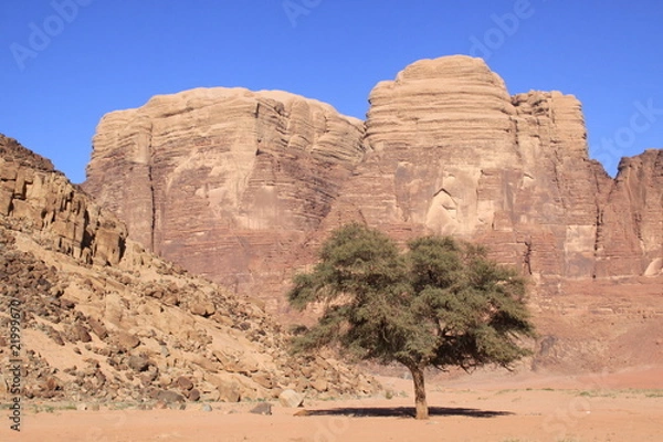 Obraz Desierto de Wadi Rum