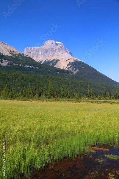 Obraz Rocheuses Canadiennes